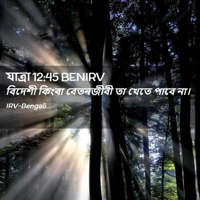 Picture 02 - যাত্ৰা 12:45 BENIRV - বিদেশী কিংবা - Bible Verse Picture