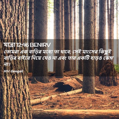Picture 02 - যাত্ৰা 12:46 BENIRV - তোমরা এক বাড়ির - Bible Verse Picture