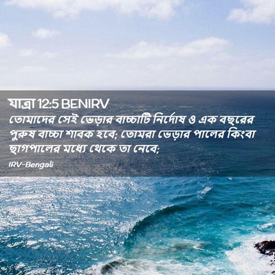 Picture 02 - যাত্ৰা 12:5 BENIRV - তোমাদের সেই - Bible Verse Picture