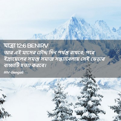 Picture 02 - যাত্ৰা 12:6 BENIRV - আর এই মাসের চৌদ্দ - Bible Verse Picture