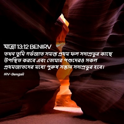 Picture 02 - যাত্ৰা 13:12 BENIRV - তখন তুমি গর্ভজাত - Bible Verse Picture