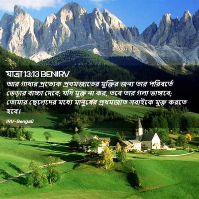 Picture 02 - যাত্ৰা 13:13 BENIRV - আর গাধার প্রত্যেক - Bible Verse Picture