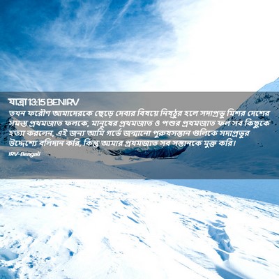 Picture 02 - যাত্ৰা 13:15 BENIRV - তখন ফরৌণ আমাদেরকে - Bible Verse Picture