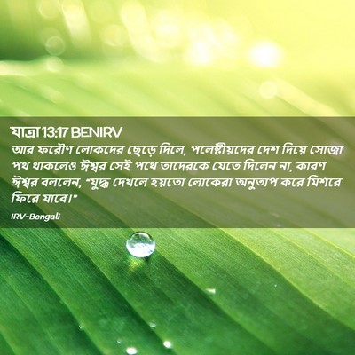 Picture 02 - যাত্ৰা 13:17 BENIRV - আর ফরৌণ লোকদের - Bible Verse Picture