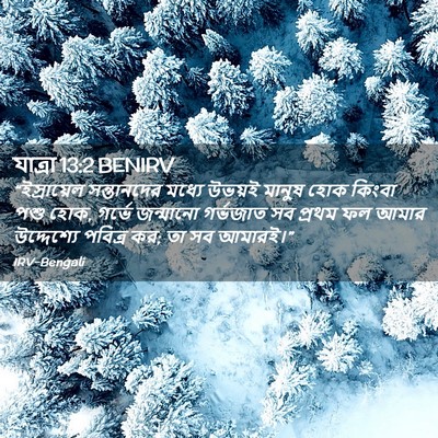 Picture 02 - যাত্ৰা 13:2 BENIRV - “ইস্রায়েল - Bible Verse Picture