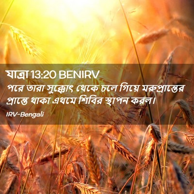 Picture 02 - যাত্ৰা 13:20 BENIRV - পরে তারা সুক্কোৎ - Bible Verse Picture