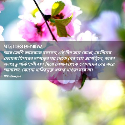 Picture 02 - যাত্ৰা 13:3 BENIRV - আর মোশি তাদেরকে - Bible Verse Picture