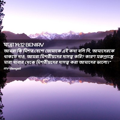 Picture 02 - যাত্ৰা 14:12 BENIRV - আমরা কি মিশর দেশে - Bible Verse Picture