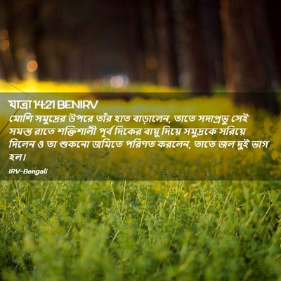 Picture 02 - যাত্ৰা 14:21 BENIRV - মোশি সমুদ্রের - Bible Verse Picture