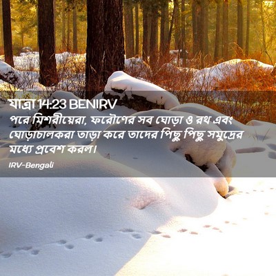 Picture 02 - যাত্ৰা 14:23 BENIRV - পরে মিশরীয়েরা, - Bible Verse Picture