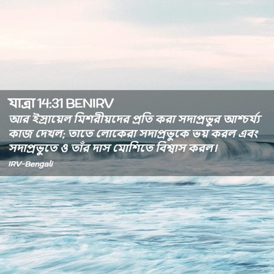 Picture 02 - যাত্ৰা 14:31 BENIRV - আর ইস্রায়েল - Bible Verse Picture