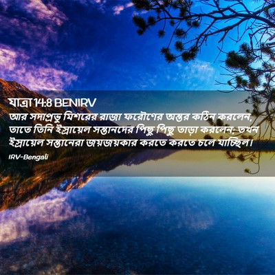 Picture 02 - যাত্ৰা 14:8 BENIRV - আর সদাপ্রভু - Bible Verse Picture