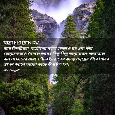 Picture 02 - যাত্ৰা 14:9 BENIRV - আর মিশরীয়রা, - Bible Verse Picture