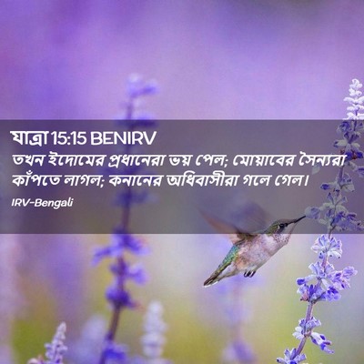 Picture 02 - যাত্ৰা 15:15 BENIRV - তখন ইদোমের - Bible Verse Picture