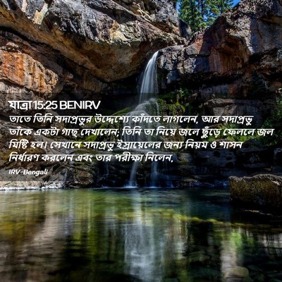 Picture 02 - যাত্ৰা 15:25 BENIRV - তাতে তিনি - Bible Verse Picture