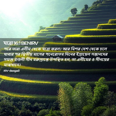 Picture 02 - যাত্ৰা 16:1 BENIRV - পরে তারা এলীম থেকে - Bible Verse Picture