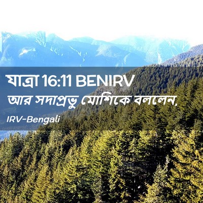 Picture 02 - যাত্ৰা 16:11 BENIRV - আর সদাপ্রভু - Bible Verse Picture