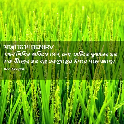 Picture 02 - যাত্ৰা 16:14 BENIRV - যখন শিশির শুকিয়ে - Bible Verse Picture