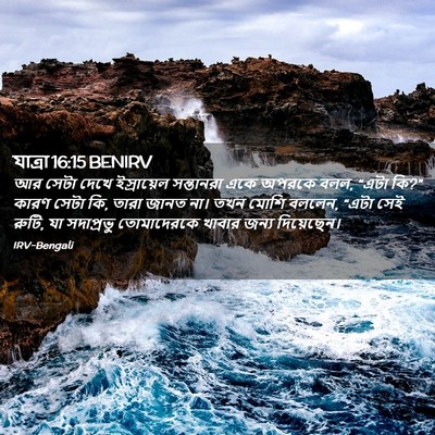 Picture 02 - যাত্ৰা 16:15 BENIRV - আর সেটা দেখে - Bible Verse Picture