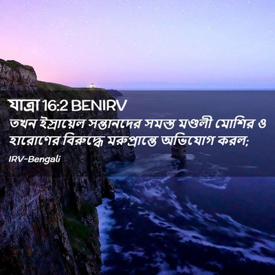 Picture 02 - যাত্ৰা 16:2 BENIRV - তখন ইস্রায়েল - Bible Verse Picture