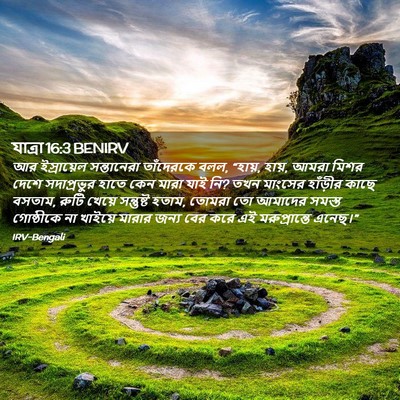 Picture 02 - যাত্ৰা 16:3 BENIRV - আর ইস্রায়েল - Bible Verse Picture