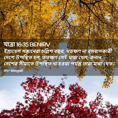 Picture 02 - যাত্ৰা 16:35 BENIRV - ইস্রায়েল - Bible Verse Picture