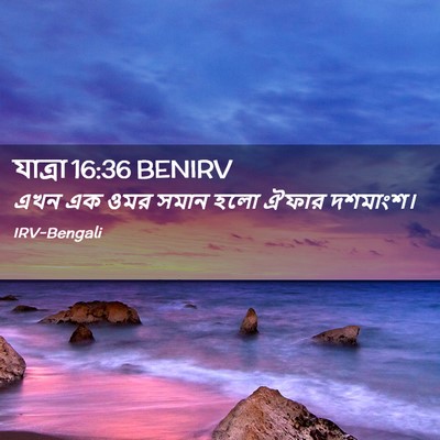 Picture 02 - যাত্ৰা 16:36 BENIRV - এখন এক ওমর সমান হলো - Bible Verse Picture