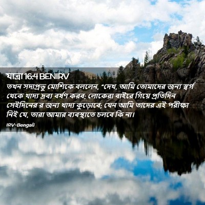 Picture 02 - যাত্ৰা 16:4 BENIRV - তখন সদাপ্রভু - Bible Verse Picture