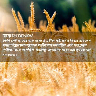 Picture 02 - যাত্ৰা 17:7 BENIRV - তিনি সেই স্থানের - Bible Verse Picture