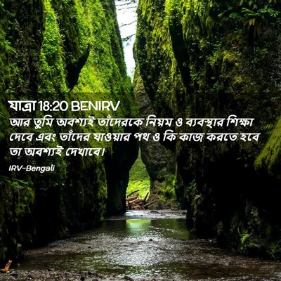 Picture 02 - যাত্ৰা 18:20 BENIRV - আর তুমি অবশ্যই - Bible Verse Picture