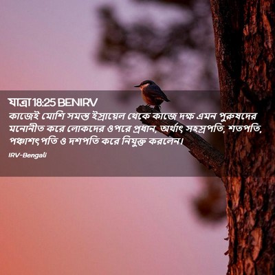 Picture 02 - যাত্ৰা 18:25 BENIRV - কাজেই মোশি সমস্ত - Bible Verse Picture