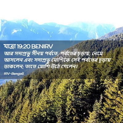 Picture 02 - যাত্ৰা 19:20 BENIRV - আর সদাপ্রভু সীনয় - Bible Verse Picture