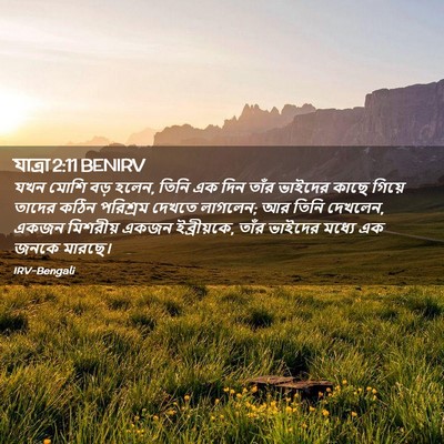Picture 02 - যাত্ৰা 2:11 BENIRV - যখন মোশি বড় হলেন, - Bible Verse Picture