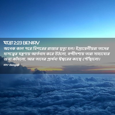 Picture 02 - যাত্ৰা 2:23 BENIRV - অনেক কাল পরে - Bible Verse Picture