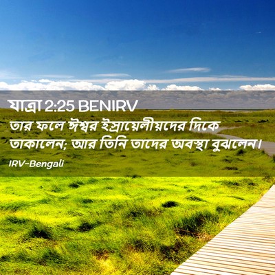 Picture 02 - যাত্ৰা 2:25 BENIRV - তার ফলে ঈশ্বর - Bible Verse Picture
