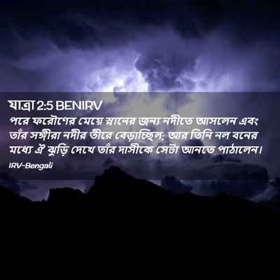 Picture 02 - যাত্ৰা 2:5 BENIRV - পরে ফরৌণের মেয়ে - Bible Verse Picture