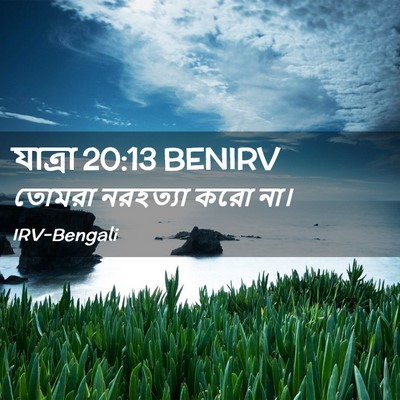 Picture 02 - যাত্ৰা 20:13 BENIRV - তোমরা নরহত্যা করো - Bible Verse Picture