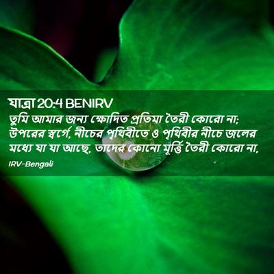 Picture 02 - যাত্ৰা 20:4 BENIRV - তুমি আমার জন্য - Bible Verse Picture