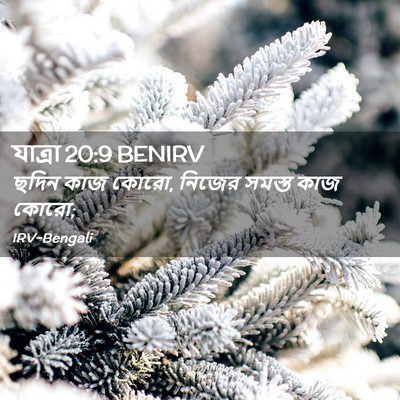 Picture 02 - যাত্ৰা 20:9 BENIRV - ছদিন কাজ কোরো, - Bible Verse Picture