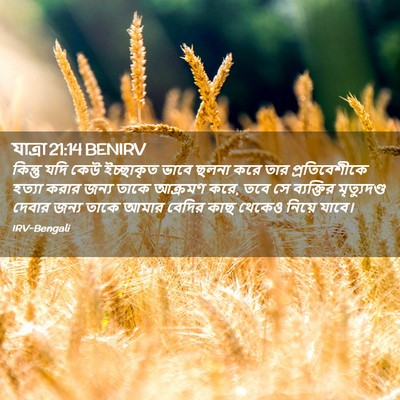 Picture 02 - যাত্ৰা 21:14 BENIRV - কিন্তু যদি কেউ - Bible Verse Picture