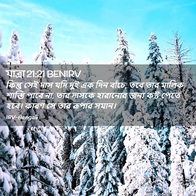 Picture 02 - যাত্ৰা 21:21 BENIRV - কিন্তু সেই দাস যদি - Bible Verse Picture