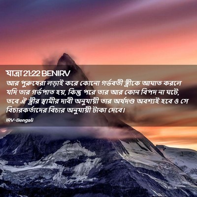 Picture 02 - যাত্ৰা 21:22 BENIRV - আর পুরুষেরা লড়াই - Bible Verse Picture