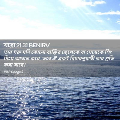 Picture 02 - যাত্ৰা 21:31 BENIRV - তার গরু যদি কোনো - Bible Verse Picture
