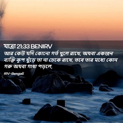 Picture 02 - যাত্ৰা 21:33 BENIRV - আর কেউ যদি কোনো - Bible Verse Picture
