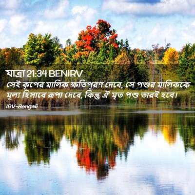 Picture 02 - যাত্ৰা 21:34 BENIRV - সেই কূপের মালিক - Bible Verse Picture