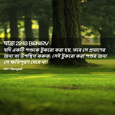 Picture 02 - যাত্ৰা 22:13 BENIRV - যদি একটি পশুকে - Bible Verse Picture