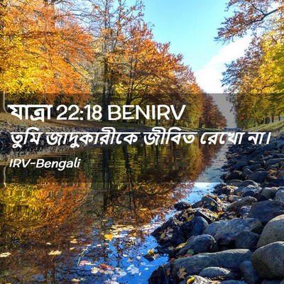 Picture 02 - যাত্ৰা 22:18 BENIRV - তুমি জাদুকারীকে - Bible Verse Picture