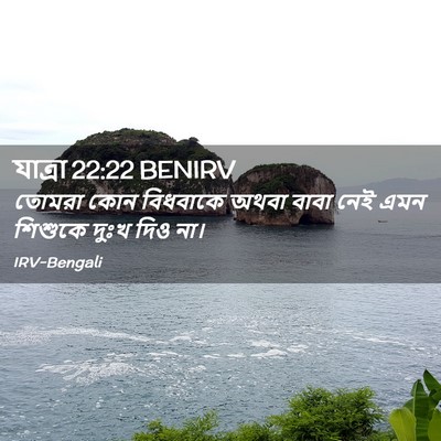 Picture 02 - যাত্ৰা 22:22 BENIRV - তোমরা কোন বিধবাকে - Bible Verse Picture