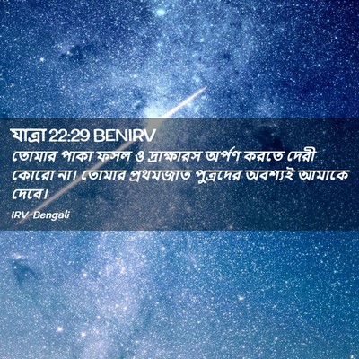 Picture 02 - যাত্ৰা 22:29 BENIRV - তোমার পাকা ফসল ও - Bible Verse Picture