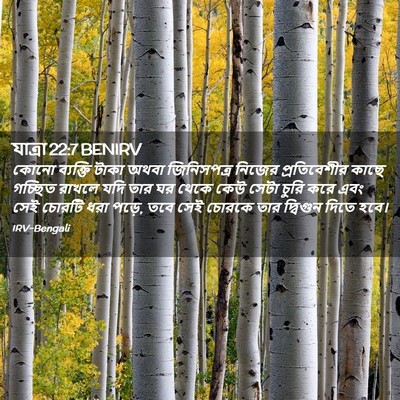 Picture 02 - যাত্ৰা 22:7 BENIRV - কোনো ব্যক্তি টাকা - Bible Verse Picture